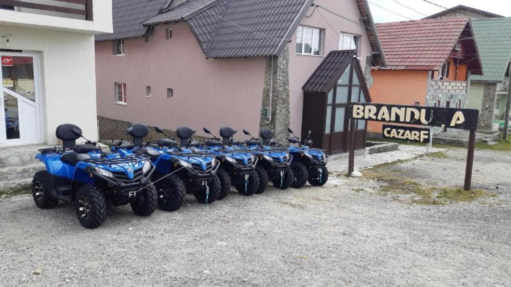 Pensiunea Brandusa Ranca Εξωτερικό φωτογραφία